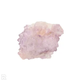 Cactus Amethist Cluster uit Zuid-Afrika met artikelnummer 21989