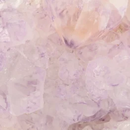 Cactus Amethist Cluster uit Zuid-Afrika met artikelnummer 21989