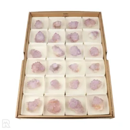 Cactus Amethist Verkoopdoos