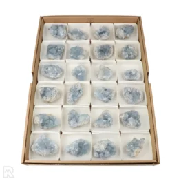 Celestien Verkoopdoos