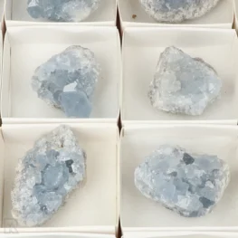 22012 celestien verkoopdoos zoom