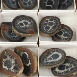 22014 septarie geode paren verkoopdoos zoom