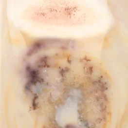 Polychroom Jaspis Eenzijdig Gepolijst uit Madagaskar met artikelnummer 22032