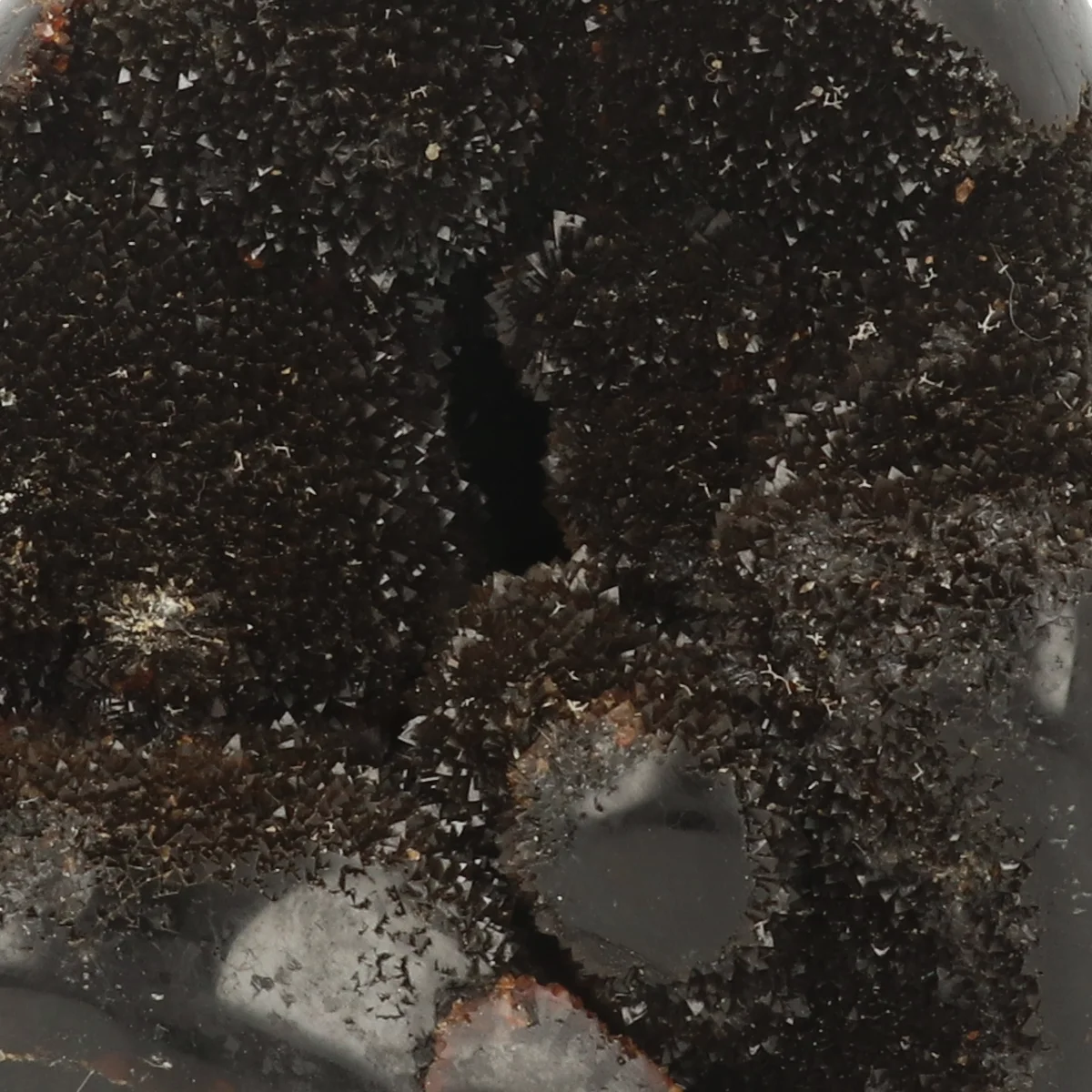 Septarie Ruw Sculptuur 2 Septarie Ruw Sculptuur uit Madagaskar met artikelnummer 22095