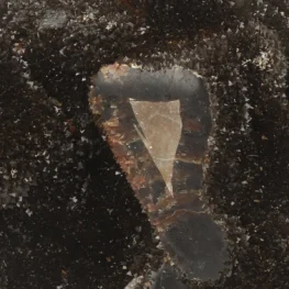 Septarie Ruw Sculptuur uit Madagaskar met artikelnummer 22097