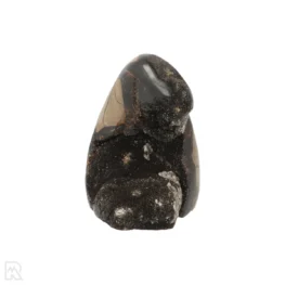 Septarie Ruw Sculptuur uit Madagaskar met artikelnummer 22099