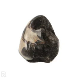 Septarie Ruw Sculptuur uit Madagaskar met artikelnummer 22103