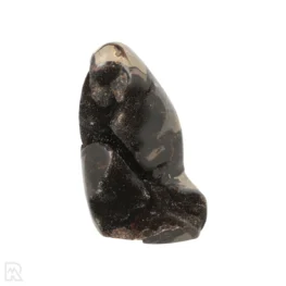 Septarie Ruw Sculptuur uit Madagaskar met artikelnummer 22105