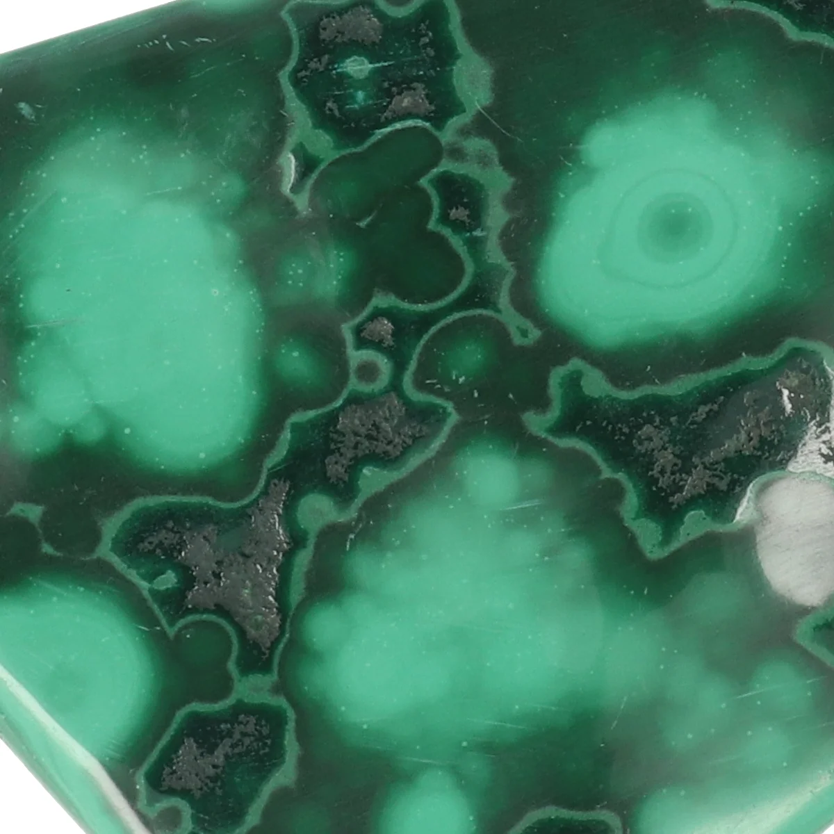 Malachiet Gepolijst 2 Malachiet Gepolijst uit Congo met artikelnummer 22127