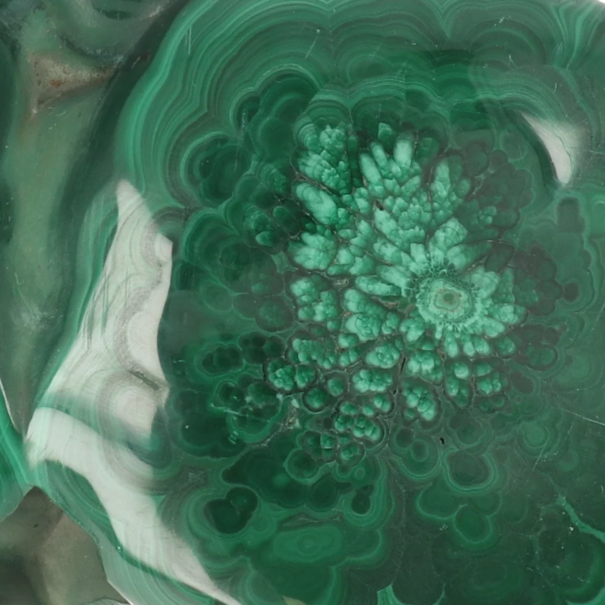 Malachiet Gepolijst 2 Malachiet Gepolijst uit Congo met artikelnummer 22128