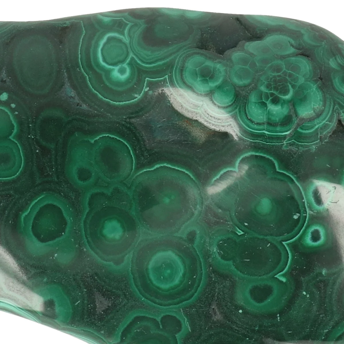 Malachiet Gepolijst 2 Malachiet Gepolijst uit Congo met artikelnummer 22137