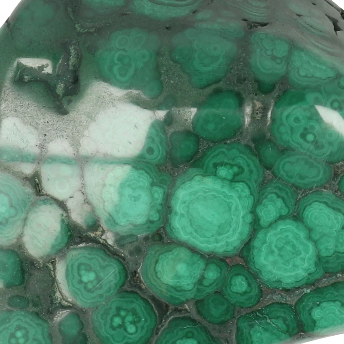 Malachiet Gepolijst 2 Malachiet Gepolijst uit Congo met artikelnummer 22140