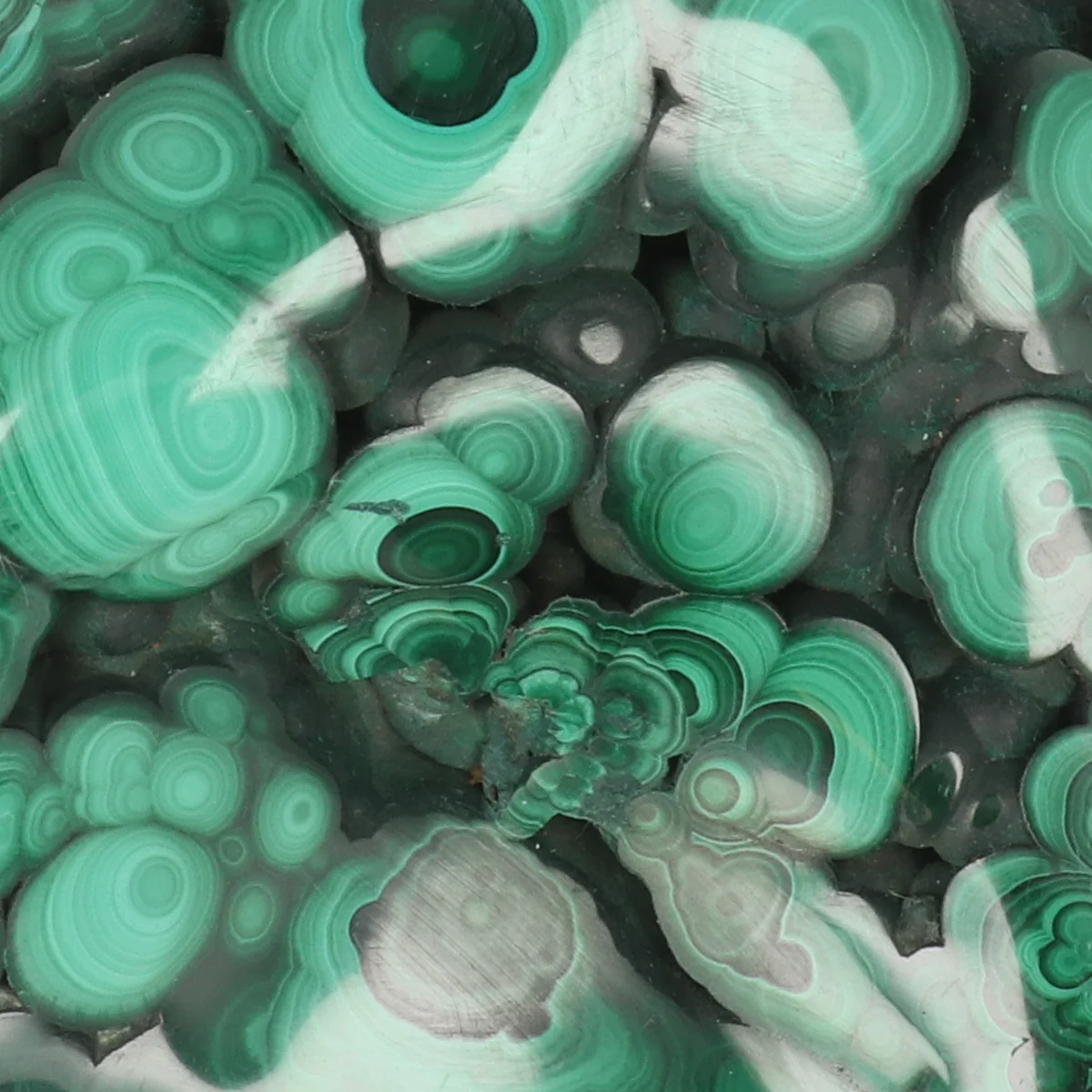 Malachiet Gepolijst 2 Malachiet Gepolijst uit Congo met artikelnummer 22141