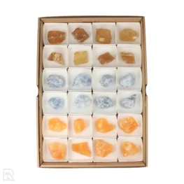 Calciet Mix - Honing Verkoopdoos | 24st