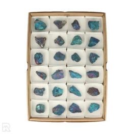 Peacock Pyriet Verkoopdoos uit Mexico met artikelnummer 22185