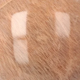 Pink Moonstone Sphere from Madagascar with item number 22227