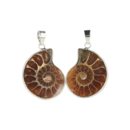 Ammonieten Hanger | S