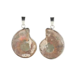 3049 ammonieten hanger 2