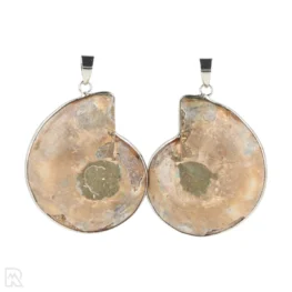 3050 ammonieten hanger 2 2