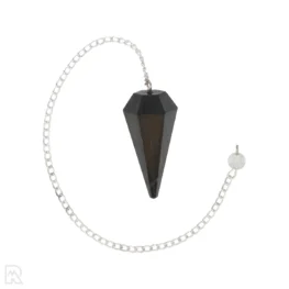 Shungite Pendulum