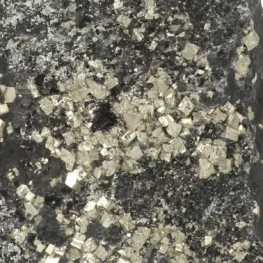 Shungite With Pyrite On Standard from Brazil with item number 22389