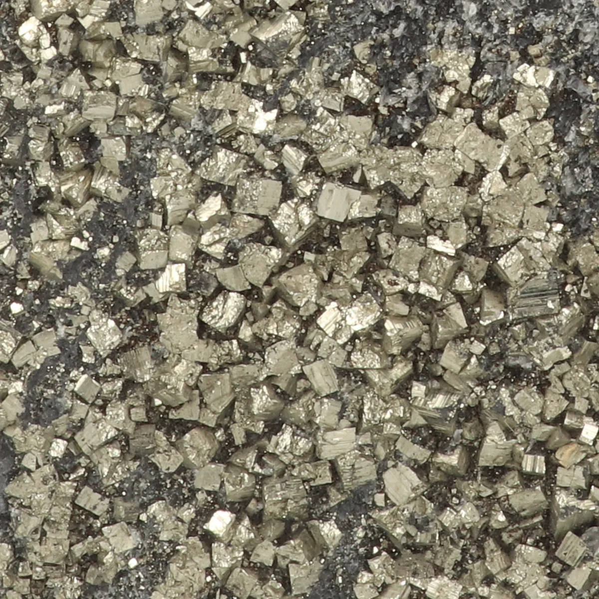 Shungite with Pyrite, Cut-Base 2 Shungite with pyrite, cut base, from Brazil, item number 22441