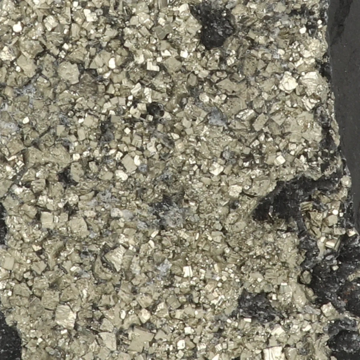 Shungite with Pyrite, Cut-Base 2 Shungite with pyrite, cut base, from Brazil, item number 22442
