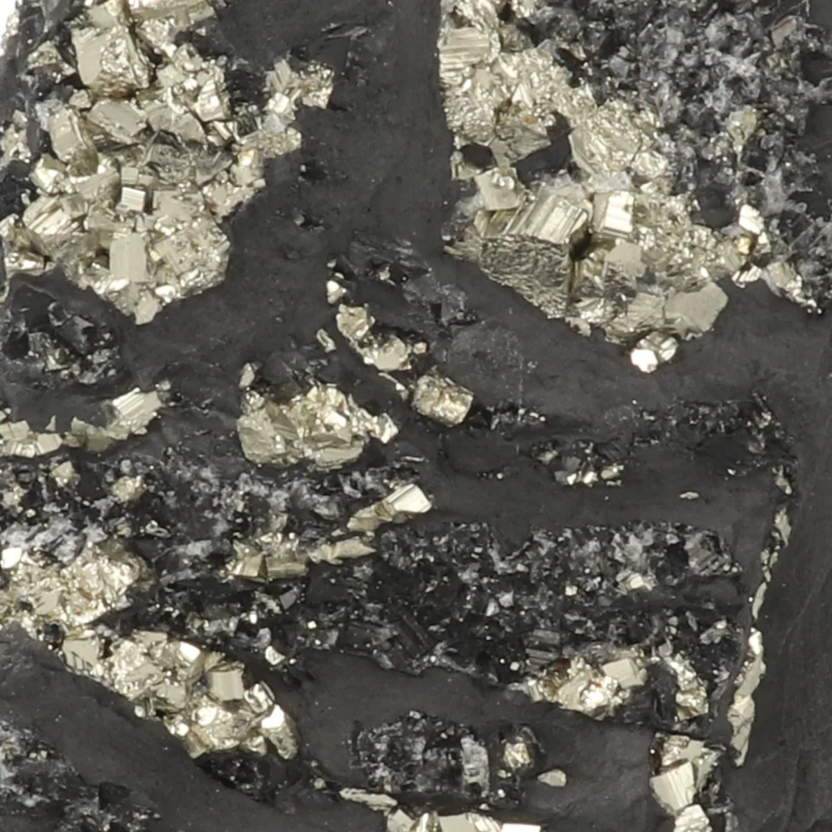 Shungite with Pyrite, Cut-Base 2 Shungite with pyrite, cut base, from Brazil, item number 22443