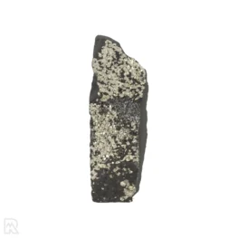 Shungiet Met Pyriet Cut-Base uit Brazilië met artikelnummer 22449
