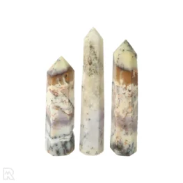 Dendritic Agate Points