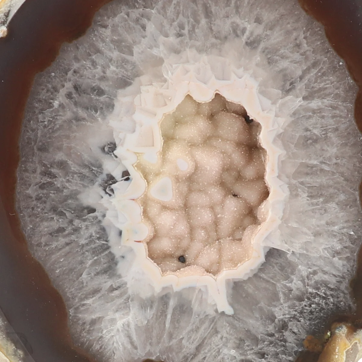 Achat Geode On Standard 2 Achat-Geode auf Sockel aus Brasilien mit der Artikelnummer 22556
