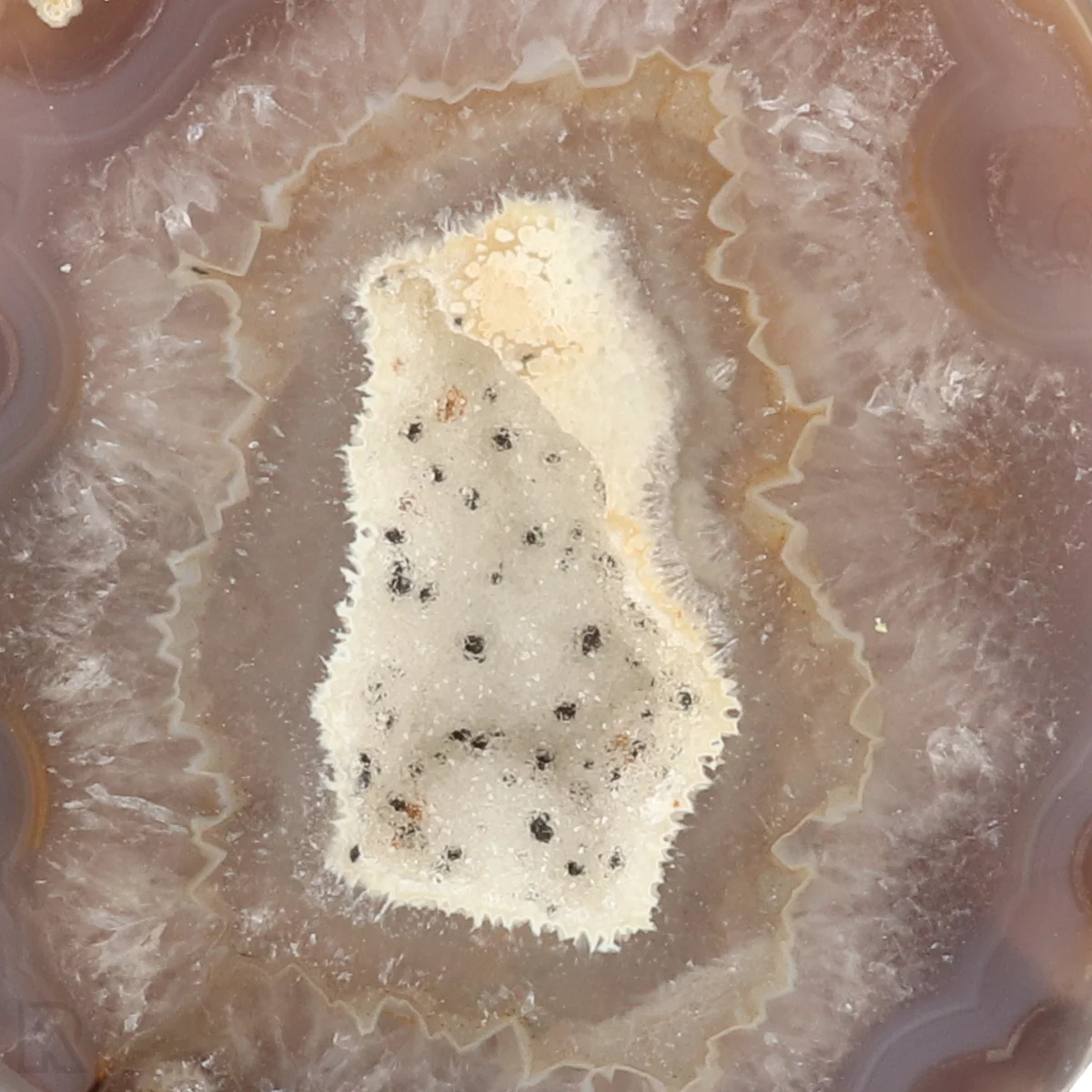 Achat Geode On Standard 2 Achat-Geode auf Sockel aus Brasilien mit der Artikelnummer 22558