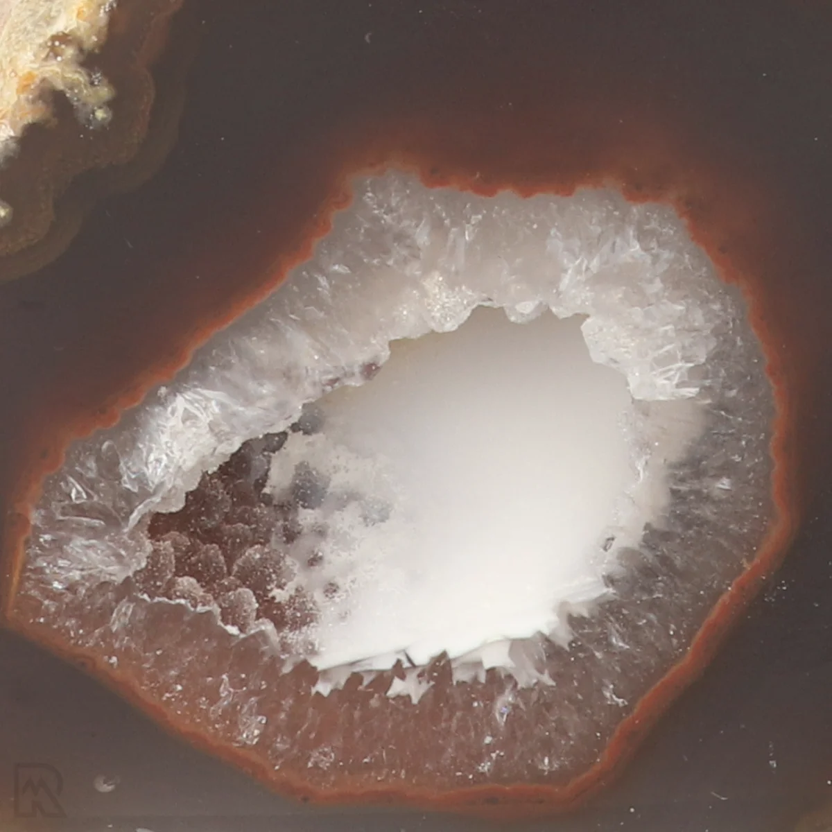 Agaat Geode Cut-Base 2 Agaat Geode Cut-Base uit Braziliƫ met artikelnummer 22583