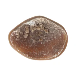 Agaat Geode uit Brazilië met artikelnummer 22842