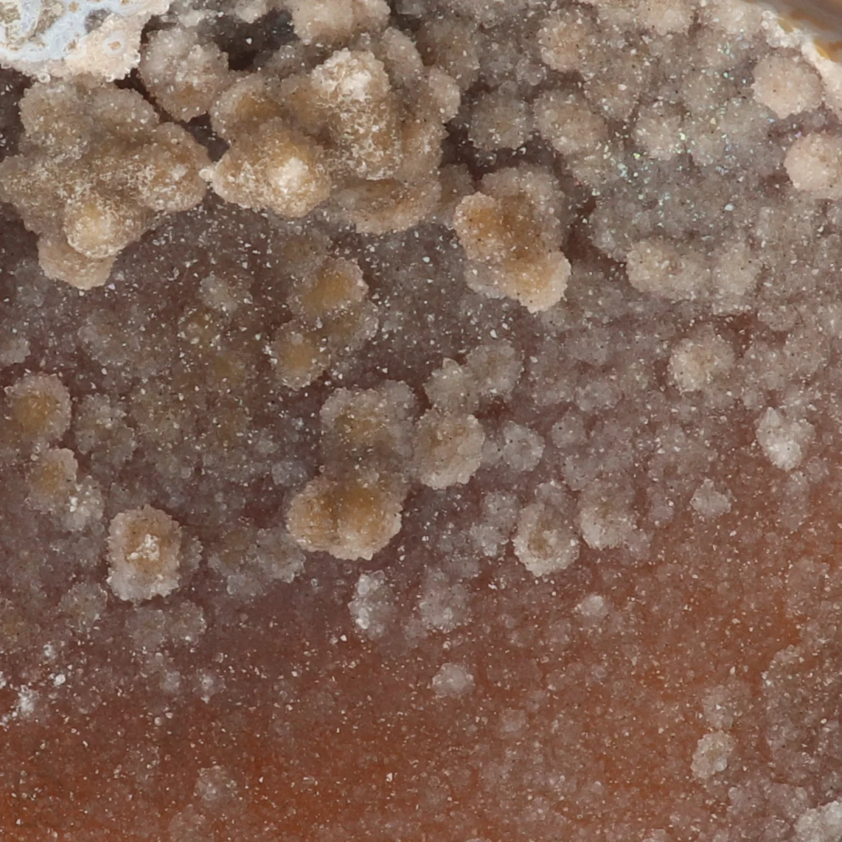 Agaat Geode Vrije Vorm 2 Agaat Geode uit Braziliƫ met artikelnummer 22842