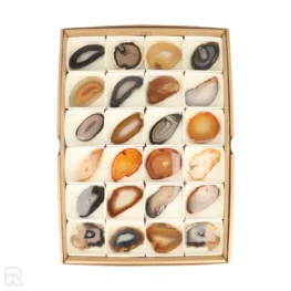 Agate Discs Sales Box | 24 pcs