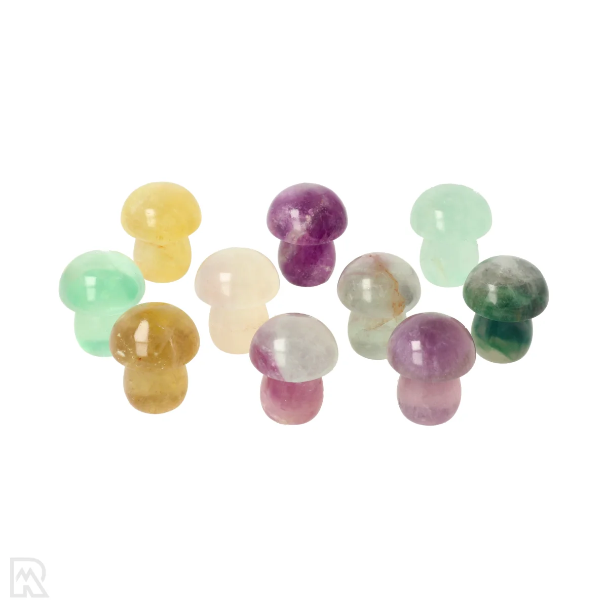 Regenboog Fluoriet Paddenstoel 1 Regenboog Fluoriet Paddenstoel