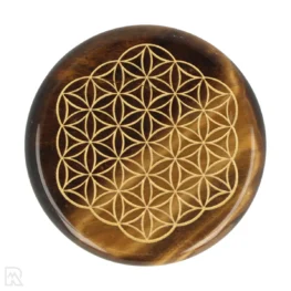 Tijgeroog Schijf - Flower of Life | 5 cm