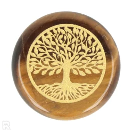 Tijgeroog Schijf Tree of Life | 3 cm