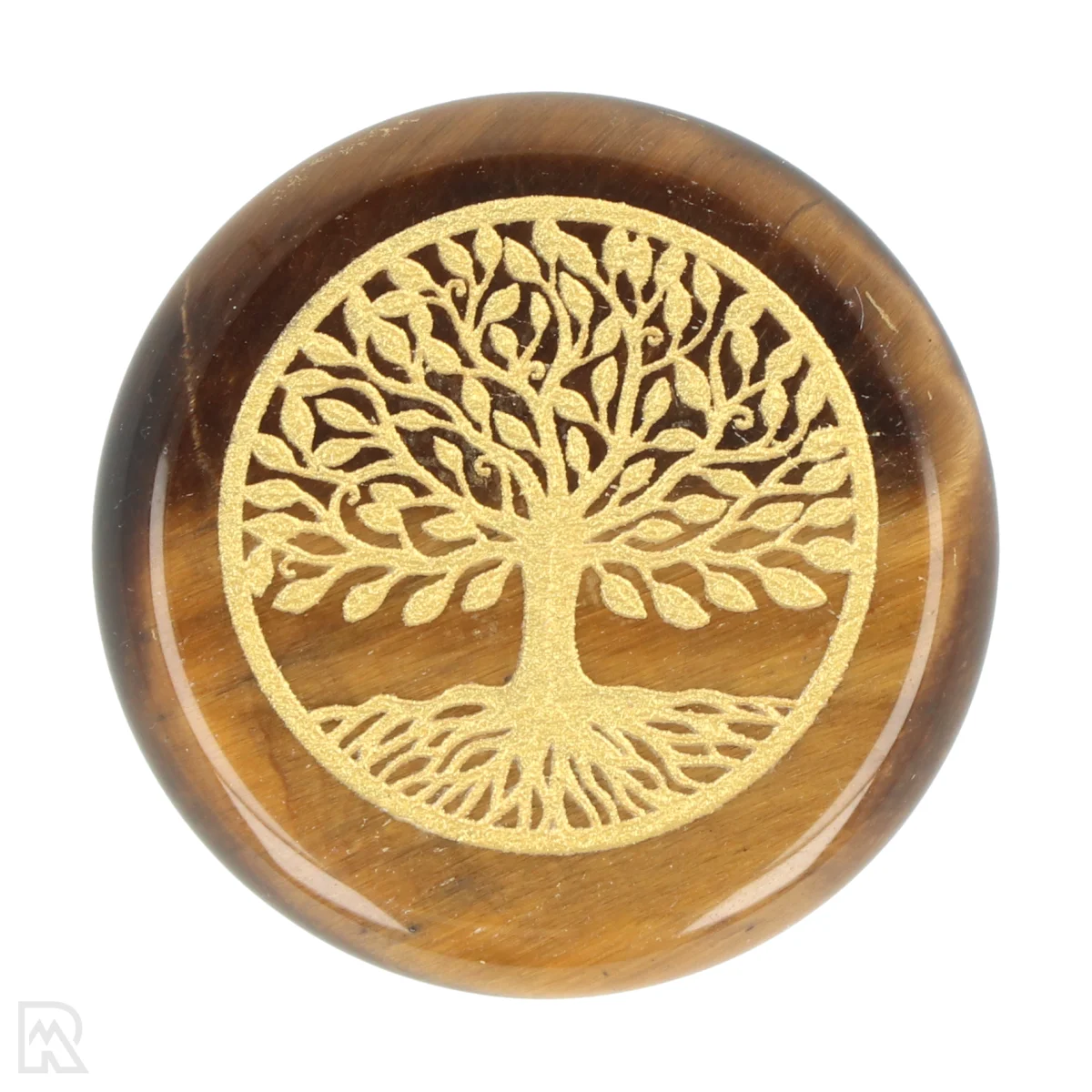 Tijgeroog Schijf Tree of Life | 3 cm 1 Tijgeroog Schijf Tree of Life | 3 cm