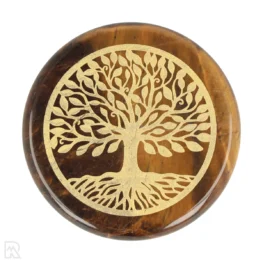 Tijgeroog Schijf - Tree of Life | 5 cm