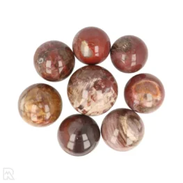 Versteend Hout Bollen
