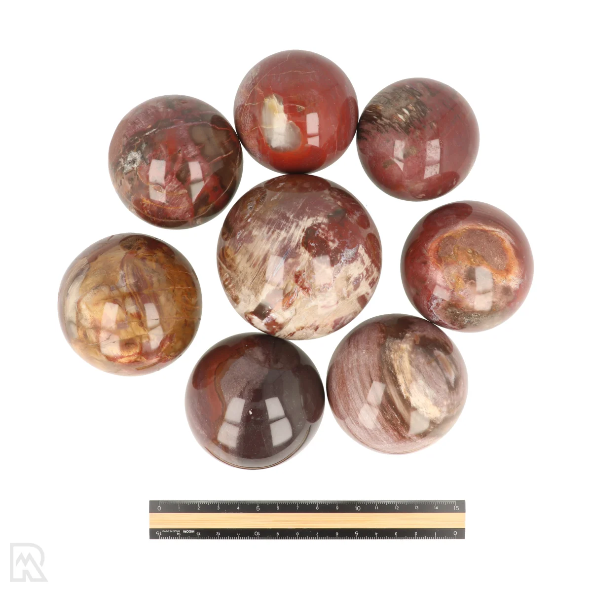 Versteend Hout Bollen 3 Versteend Hout Bollen - Afbeelding 3
