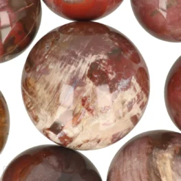 versteend hout bollen zoom