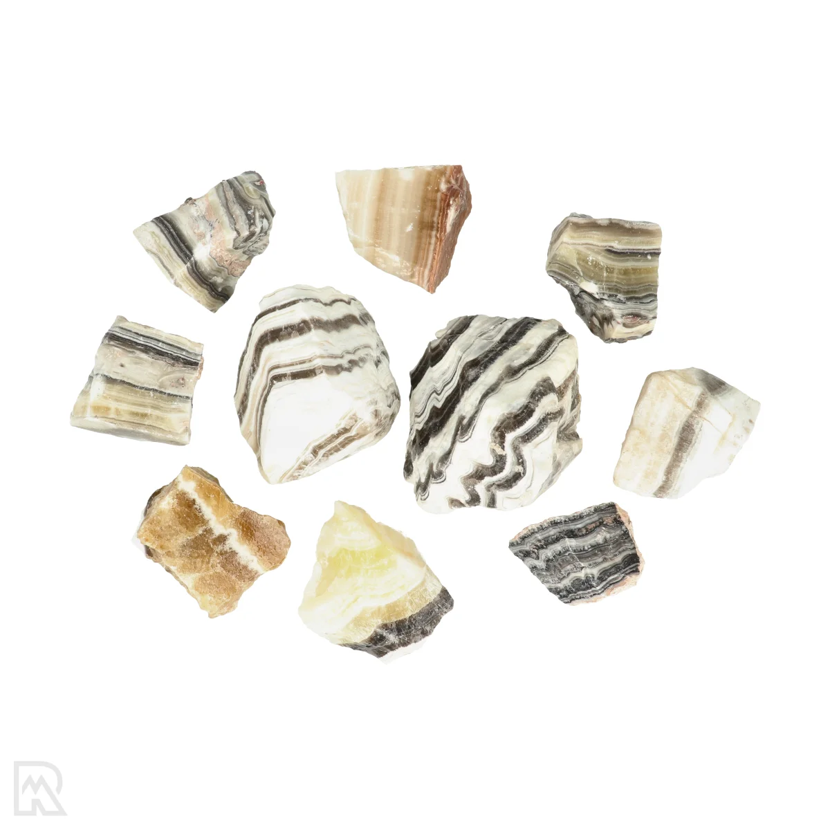 Zebra Calciet 1 Zebra Calciet