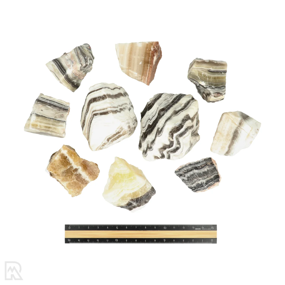 Zebra Calciet 3 Zebra Calciet - Afbeelding 3