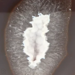 Agaat Cut-Base uit Madagaskar met artikelnummer 23102